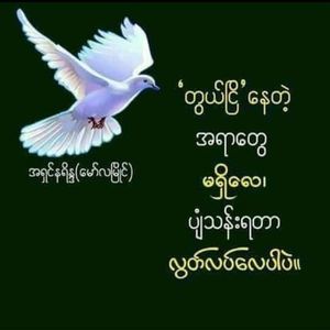 Meet your Posher, San